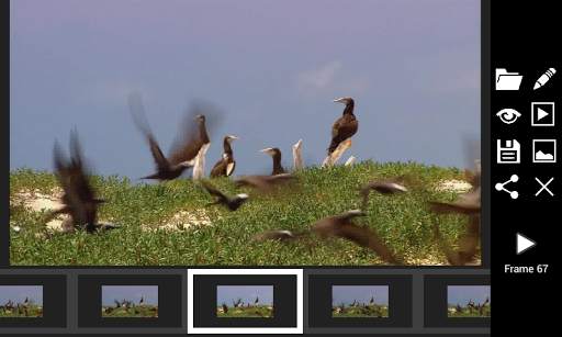 Auto Camera Shot Trial screenshot 3