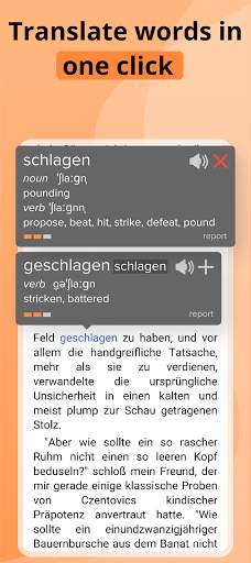 AnyLang: Parallel Translation screenshot 3