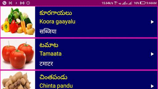 Learn Telugu From Hindi screenshot 11