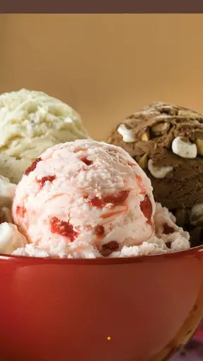 Icecream Recipes screenshot 1