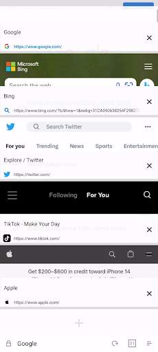 Blink browser screenshot 2
