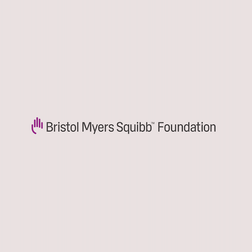 BMSF Virtual Grantee Summit icon