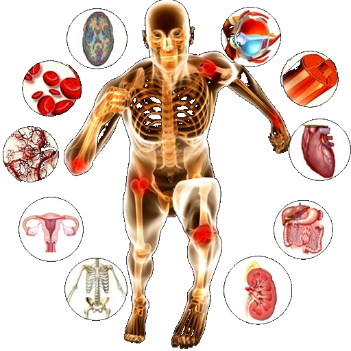 Medical Physiology - All in One icon