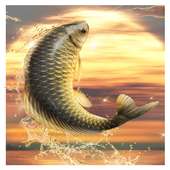 Big Fish King logo