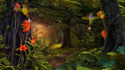Hummingbirds 3D Live Wallpaper screenshot 6