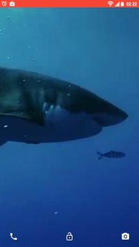 Shark Predator Attack LWP screenshot 2