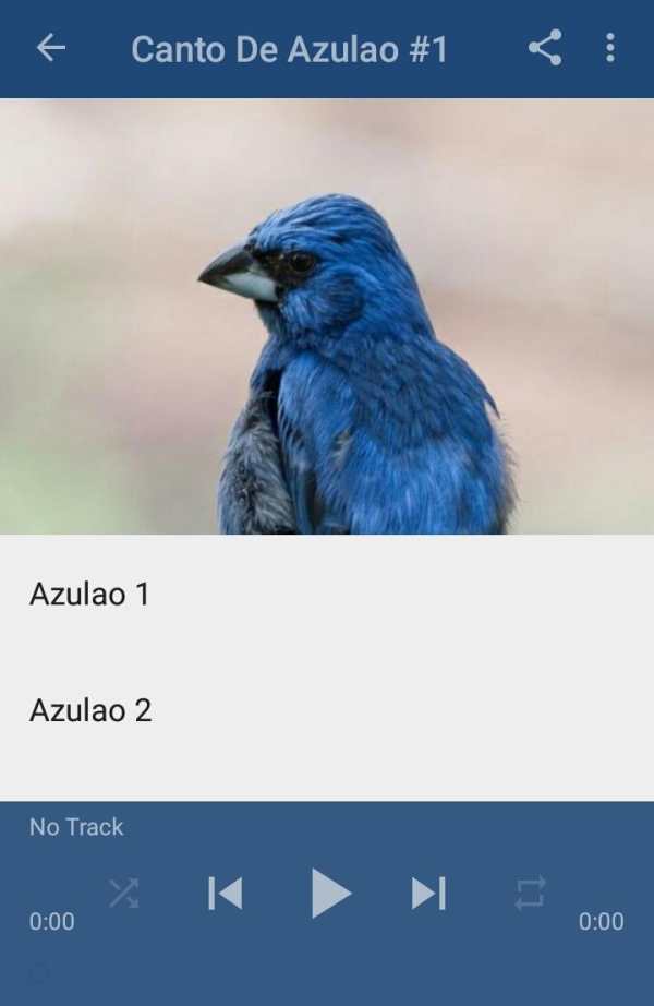 Canto De Azulao screenshot 3