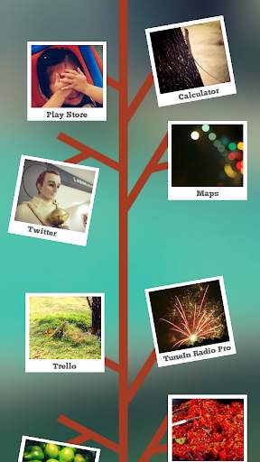 Pictree for Total Launcher screenshot 3