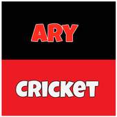 Ary Cricket 1.0