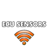 ECU SENSORS icon