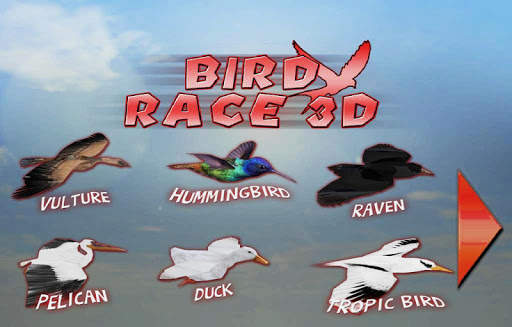 Bird Race 3D screenshot 5