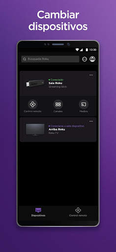 Roku screenshot 2