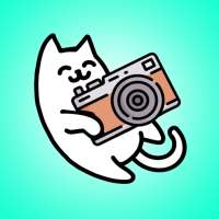 Art Cat