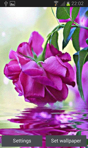 Purple Rose Swining LWP 3 تصوير الشاشة