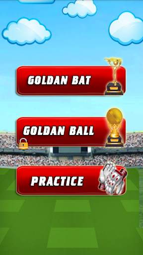 Cricket King screenshot 2