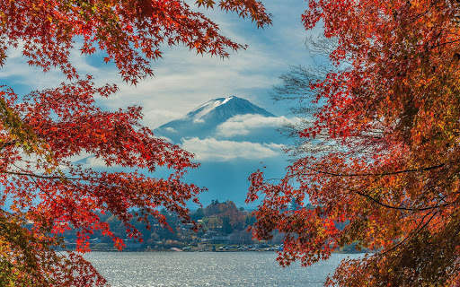 Autumn Wallpapers | hd backgrounds screenshot 18