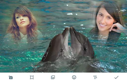 Dolphin Photo Frames screenshot 1