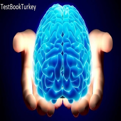 Brain Develop icon