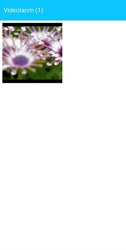 Video Durum Düzeltici screenshot 6