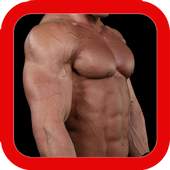 Bigger Chest in 30 Days 1.0