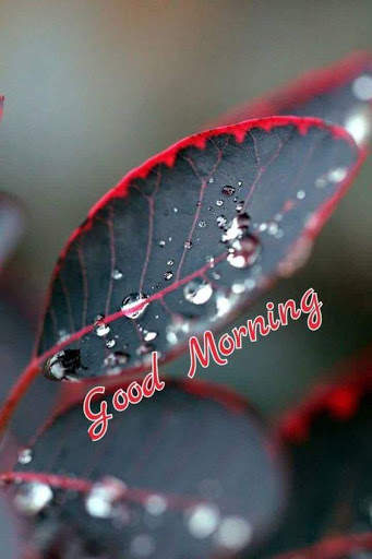 Good Morning  for whatsapp 2021 screenshot 3
