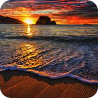 Beach Wallpaper