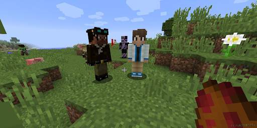 Morph Mod for Minecraft PE screenshot 4