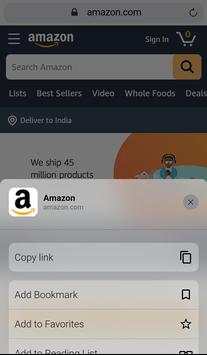 iOS Browser screenshot 3