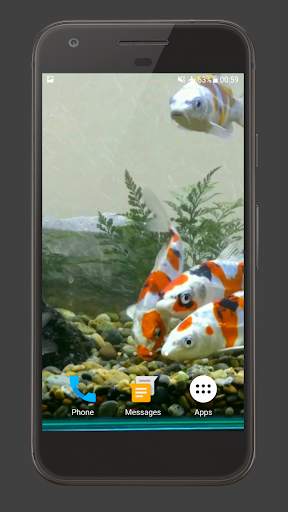 Koi Fish Tank Video Wallpaper screenshot 2