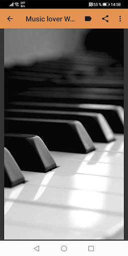 Music lover Wallpapers screenshot 3