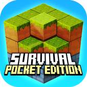 Survival 3D Pocket Edition 1.0