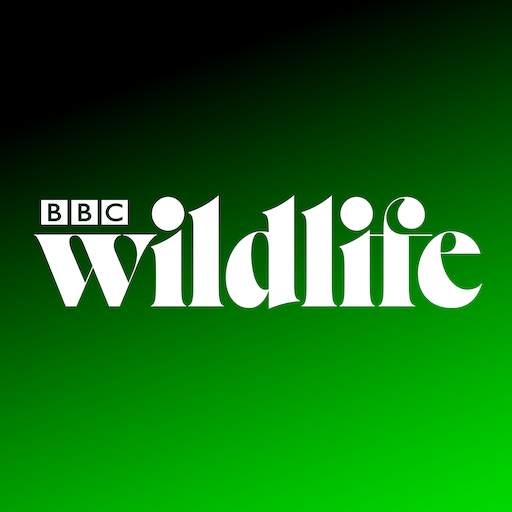 BBC Wildlife Magazine 8.3