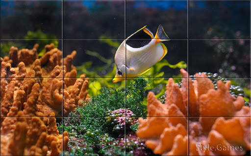 Sea world Puzzle screenshot 5