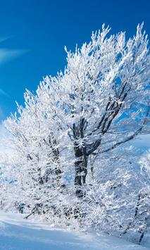 Winter wallpapers screenshot 1