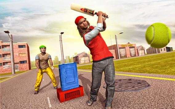Street Cricket Match screenshot 1