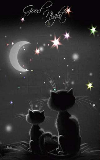 Night Live Wallpaper скриншот 8