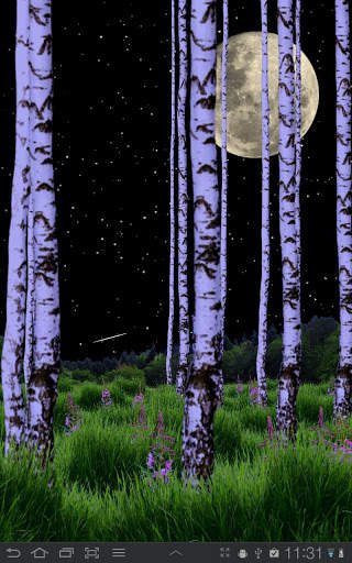 Birch Wood Free LWP screenshot 3