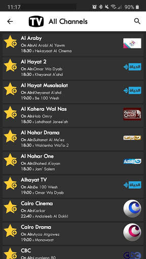 Egypt TV Guide screenshot 5