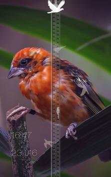 Birds Zipper Lock Screen screenshot 13