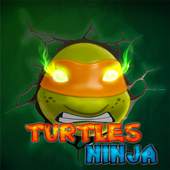 ninja adventure turtle 1.5