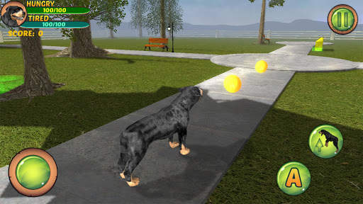 Rottweiler Dog Life Simulator screenshot 7
