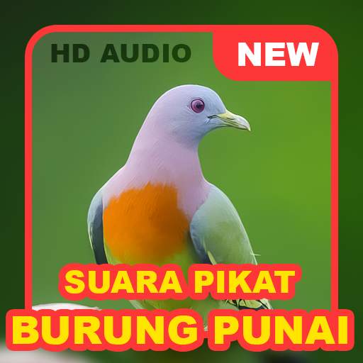 Suara Punai: Green Pigeon screenshot 1