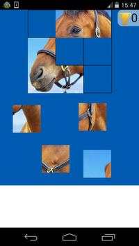 horse puzzles game screenshot 1
