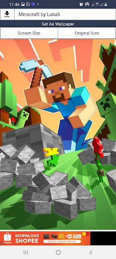 Minecraft MCPE 3D Skins, Wall & Maps screenshot 2
