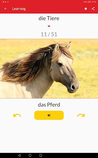 Learn German vocabulary free screenshot 9