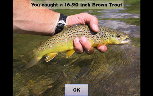 Fly Fishing Simulator screenshot 8