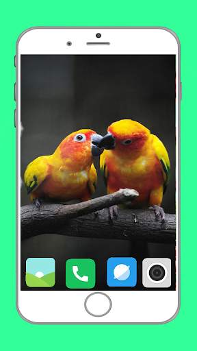 Birds Full HD Wallpaper स्क्रीनशॉट 3