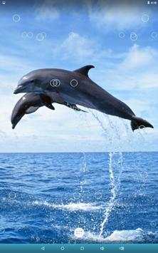 Dolphin Live Wallpaper screenshot 10