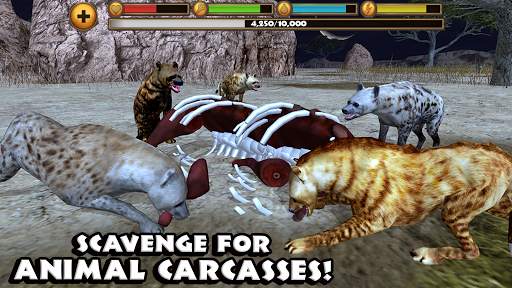 Hyena Simulator screenshot 14