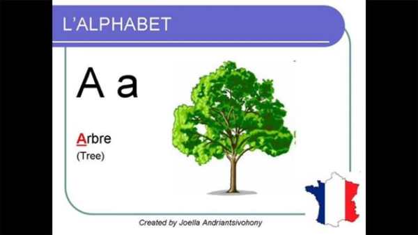 Learn French for Beginners скриншот 1